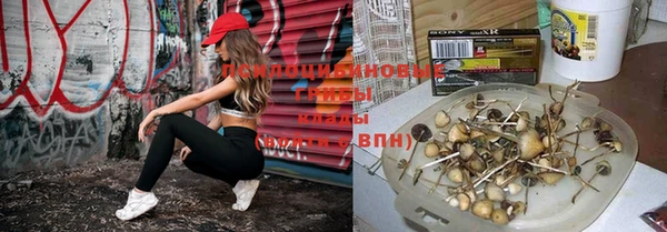 прущий лед Армянск